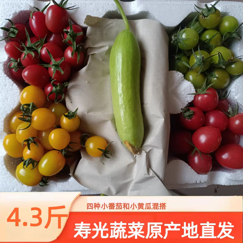 寿光迷恋糖珀琥贝贝青甜四色小番茄混搭奶油小黄瓜奶油小黄瓜整箱