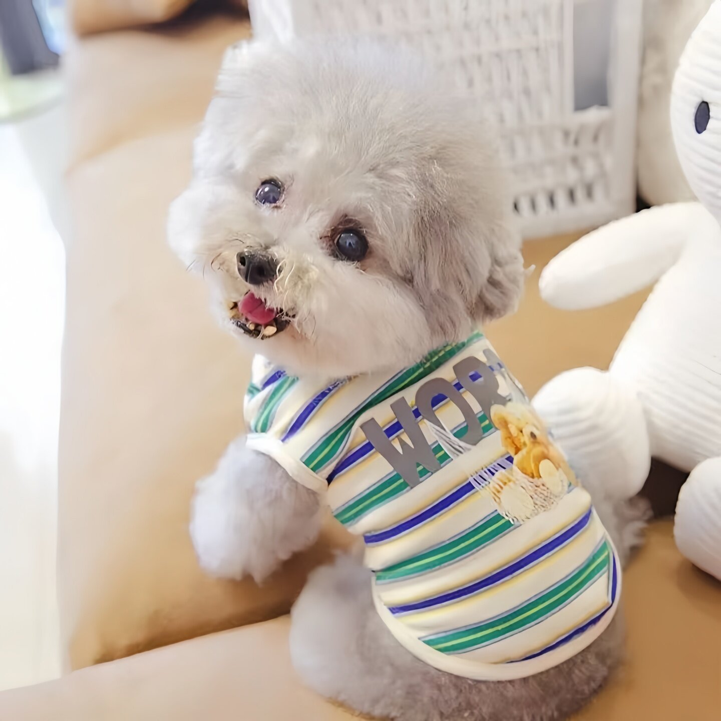 曼基康拿破仑矮脚猫衣服夏天薄款防掉毛公猫衣服帅气小背心透气薄图片