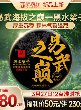2024年春茶易武之巅黑水梁子云南易武茶区普洱茶生茶古树茶饼200g