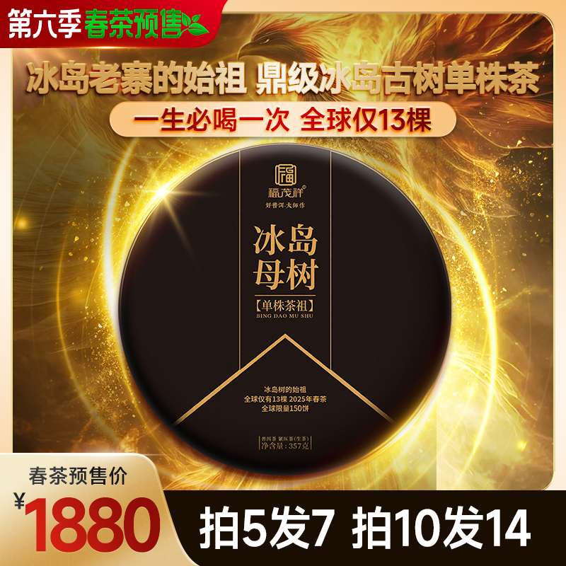 2025年春茶预售【冰岛母树】冰岛老寨始祖普洱古树纯料生茶饼357g