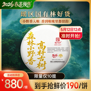2026年易武国有林铜箐河百花潭周边野放高杆古树茶森林小野香357g