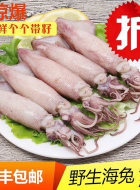 新鲜乌贼笔管鱼满籽小鱿鱼海鲜