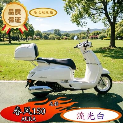 春风150AURA踏板摩托车后备箱 尾箱 尾架储物行李头盔箱改装配件