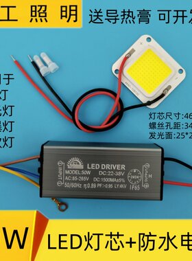 50W投光灯灯芯源防爆路灯光源