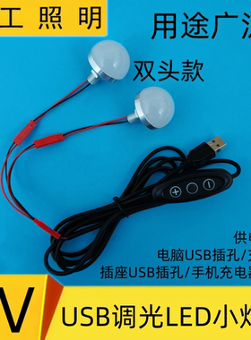 5VLED灯泡镜前灯化妆梳妆台补光美颜USB小灯泡无极调光装饰小夜灯
