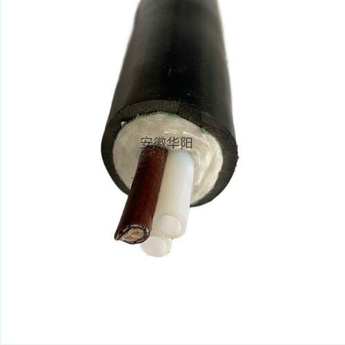 CEMS伴热管线HTS-P60-D42-E88-180烟气伴热取样管并联式伴热带