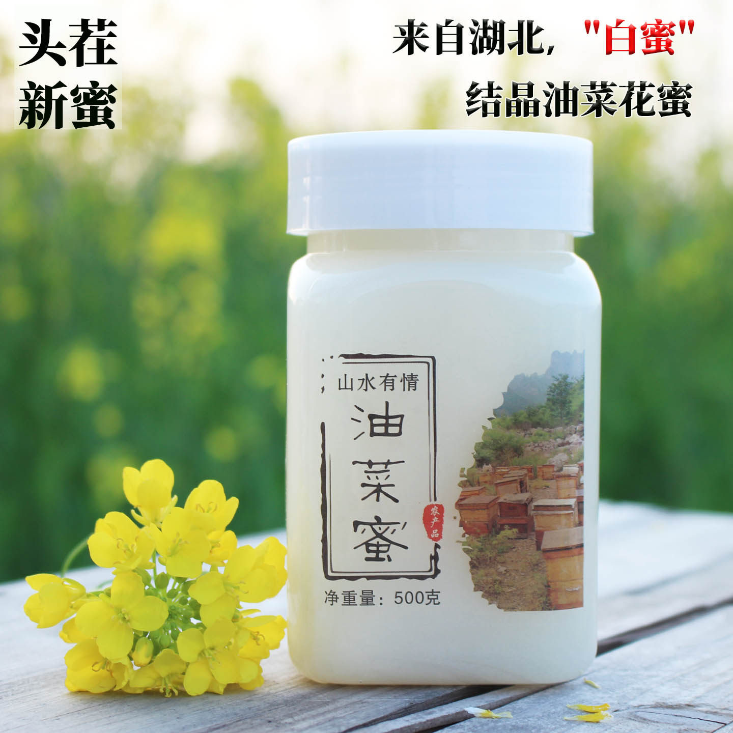 2026农家自产纯正天然油菜花蜂蜜全结晶白蜜瓶装野生土蜂蜜油菜蜜