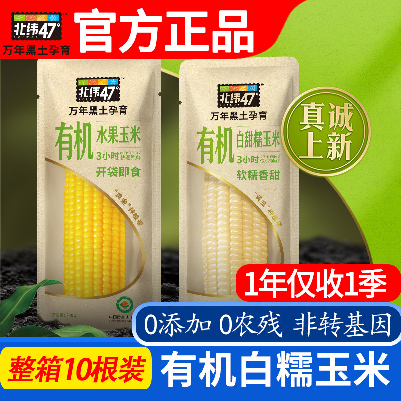 黑龙江北纬47度有机白甜糯玉米正宗东北新鲜低脂代餐非转基因即食