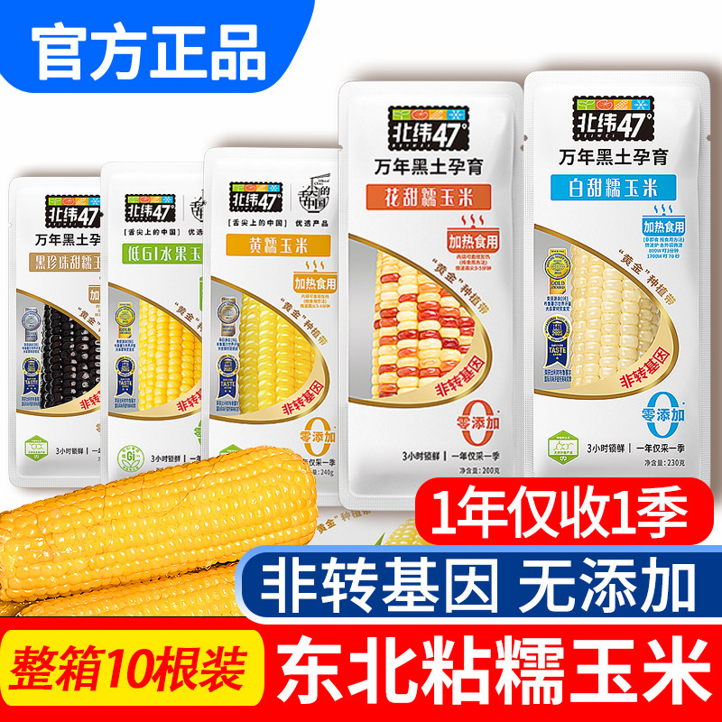 北纬47度糯玉米软嫩糯香甜黄白黑花真空包装东北非转基因主食早餐