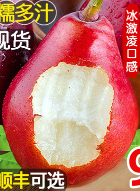 红啤梨9斤新鲜水果当季整箱包邮红皮梨红脾梨香软梨子当季包邮