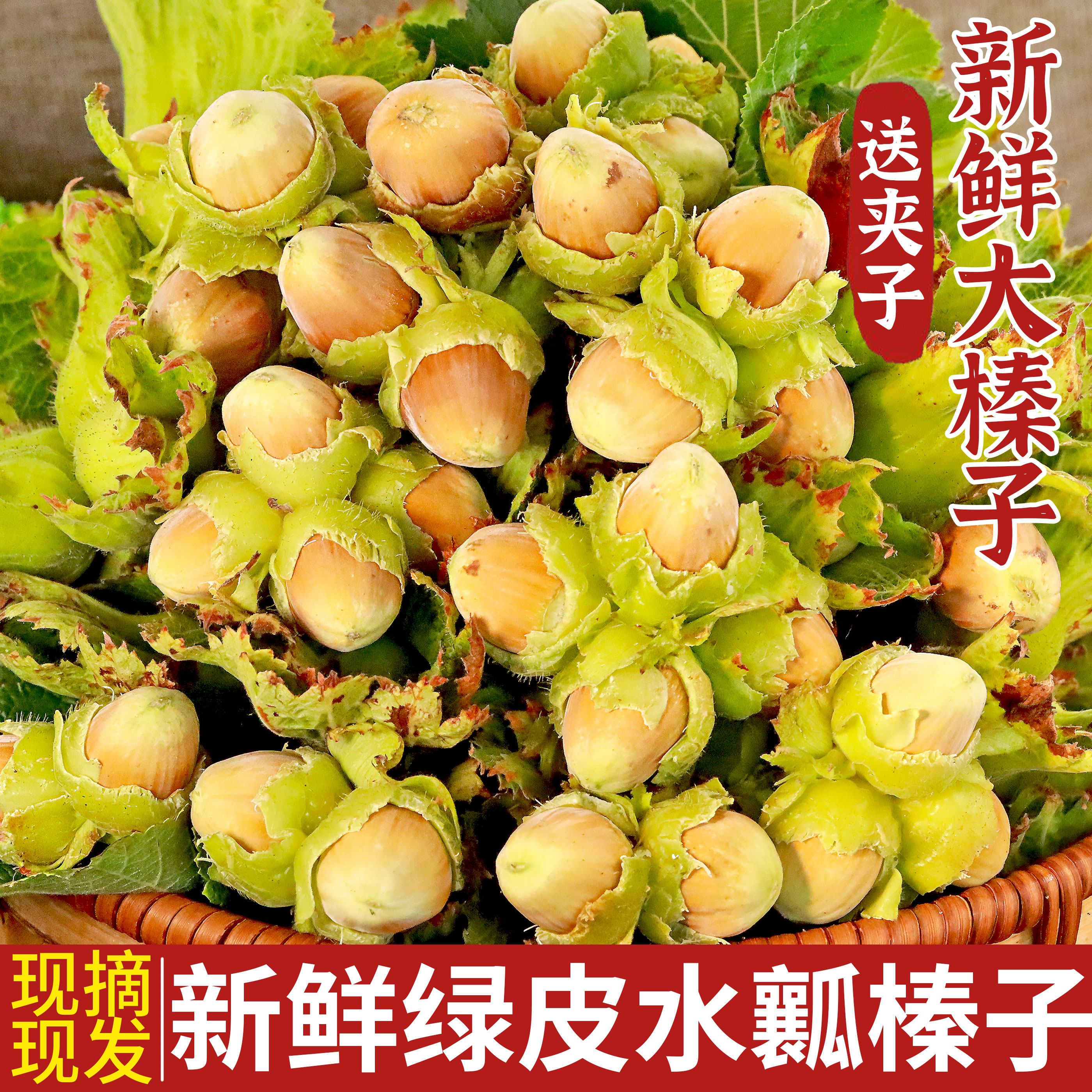 2026年新鲜榛子东北特产新鲜绿皮生榛子带皮水仁水瓤坚果干货包邮