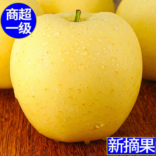 金苹果价格 金苹果图片 星期三