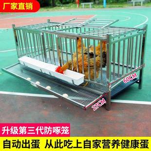 不锈钢鸡笼家用室外滚鸡蛋大号特大蛋鸡养殖笼自动出蛋养殖场多层
