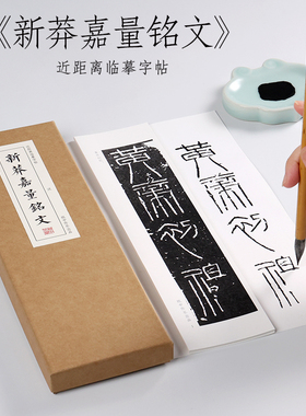 纸中作乐  西汉   新莽嘉量铭文   汉代名篆字帖篆书铁线篆悬针篆毛笔书法临摹字卡 近距离书法字帖