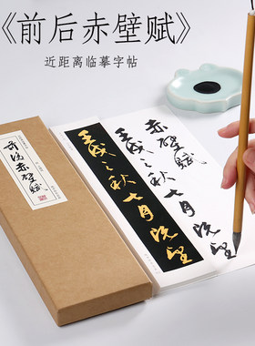 文徵明行草前后赤壁赋纸中作乐