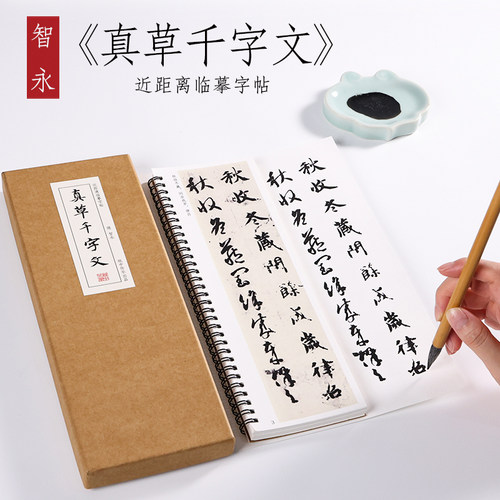 智永真草千字文墨迹楷书草书智永真书行书毛笔书法字帖描红智勇毛笔临摹卡楷书草书真草真书字帖二玄社放大版原大集字古诗描红 - 封面