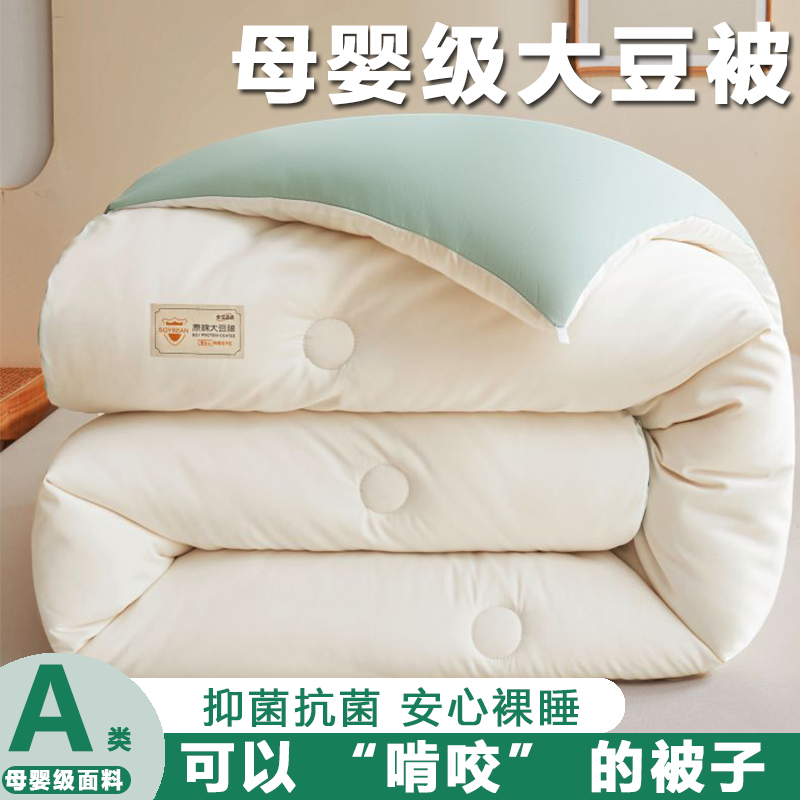 a类大豆被加厚被子被芯