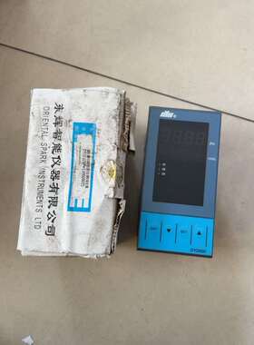 东辉仪表DY2000智能数字显示仪-议价