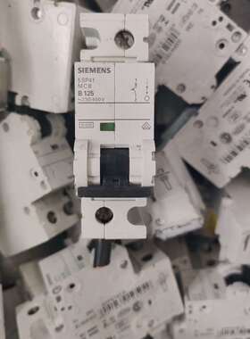 进口SIEMENS西门子5SP41MCBB125断路器小型