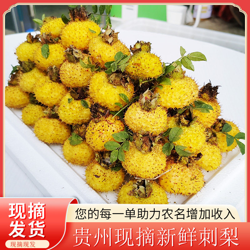 刺梨鲜果5斤刺梨贵州鲜果图片