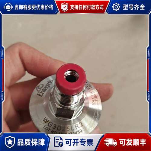 议价Entegris英特格 WG3D25LR2 的联系可维修