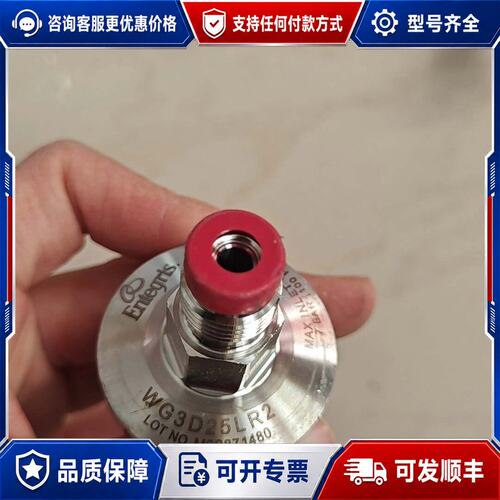 议价Entegris英特格 WG3D25LR2 的联系可维修