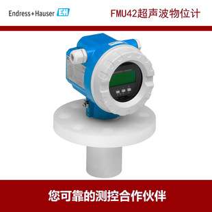 EH恩德斯豪斯 超声波物位计 FMU42 液体量程10米 固体量程5米