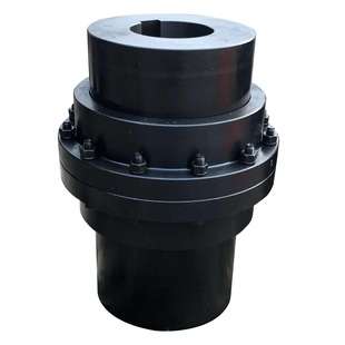 德STS 联轴器 WKE/N-19 19H7-10H7-98Sh-SX