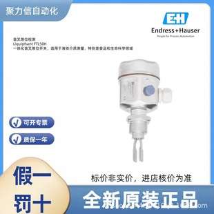 FTL31-AA4U2AAW5J 恩德斯豪斯EH 音叉液位开关 压力变送器 电极