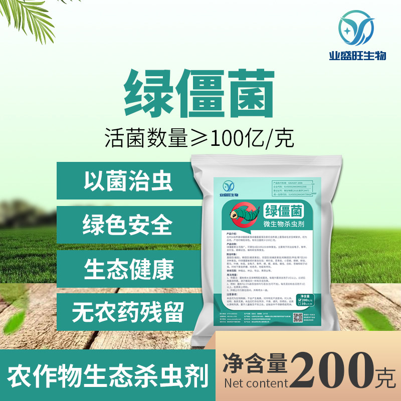 业盛旺绿僵菌微生物有机杀虫剂地老虎蛴螬蟑螂金龟子臭虫地下害虫