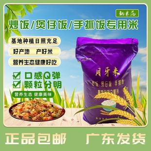 靓米范大米饭五谷杂粮大米5斤1斤30斤可提供餐饮专用炒饭米食品