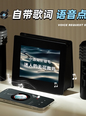 蓝牙音响屏幕带歌词小型音箱家用话筒一体机家庭ktv礼物k歌麦克风