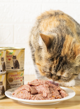 德国有力量猫罐头power of nature成猫罐自然力量有力量主食低磷