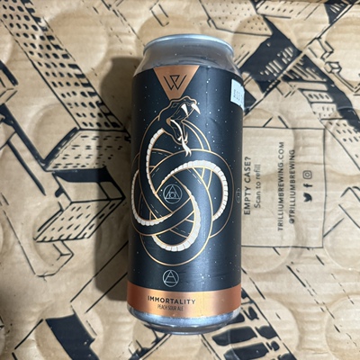 美国织水紫色双面人绝不复返果泥酸艾尔世涛精酿啤酒组合473ml