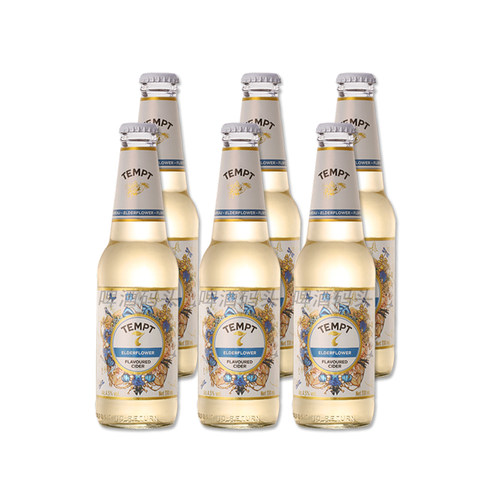 tempt丹麦进口果味啤酒接骨木