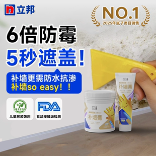 立邦墙面修补膏防水防潮防霉墙壁补墙膏白色腻子粉内墙家用修复漆