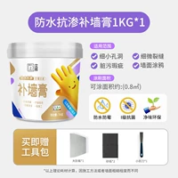 Водостойкая, антибактериальная и противогрибковая паста для ремонта стен, 1 кг.