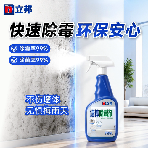 立邦除霉剂霉斑清洁剂