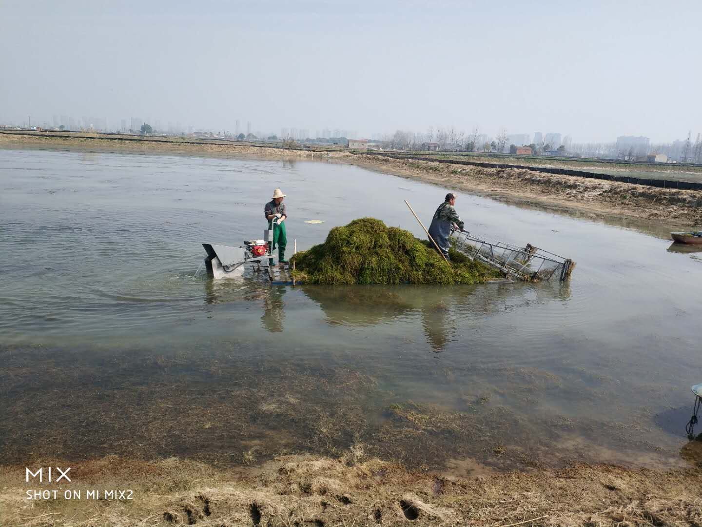 螃蟹塘专用全自动割水草机电动割草机自动收割水草机蟹塘