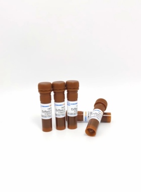 ExGreen plus核酸电泳染料 10000*水溶 ExGreen染料10000×DMSO溶