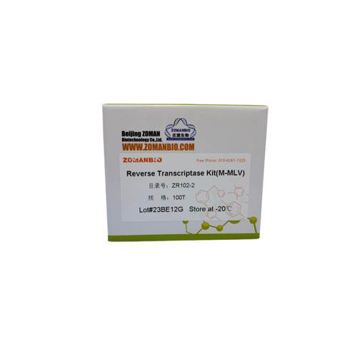 第一链反转录试剂盒Reverse Transcriptase Kit( M-MLV)