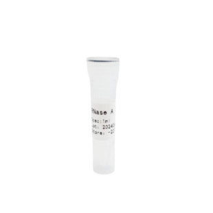 核糖核酸酶A溶液 RNase 质粒提取 10mg RNaseA