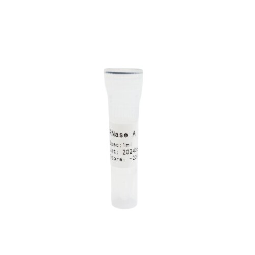 RNase A RNaseA 10mg/ml 核糖核酸酶A溶液 质粒提取