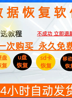 新版DiskGenius专业版媲美的数据恢复软件恢复工具专业版数据恢复