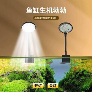 全谱光鱼缸灯小夹灯USB桌面藻缸灯圆形鱼缸灯专用补光灯可调光