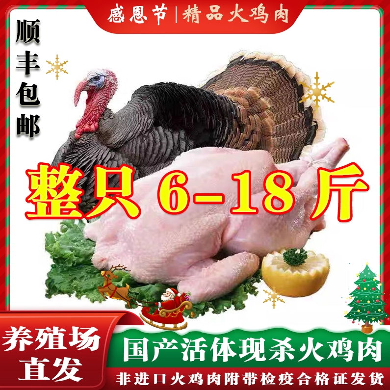 现货新鲜整只火鸡肉5-20斤包邮