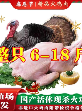 现货新鲜整只火鸡肉5-20斤包邮