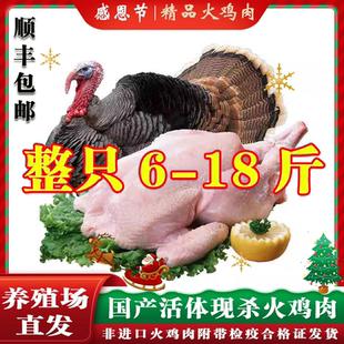 火鸡肉整只新鲜整只火鸡肉活体现杀感恩节圣诞节火鸡肉烤火鸡包邮