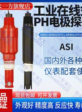 HT61-AP891美国ASI在线PH电极HT61-AP893工业PH探头HT61-AP891-10