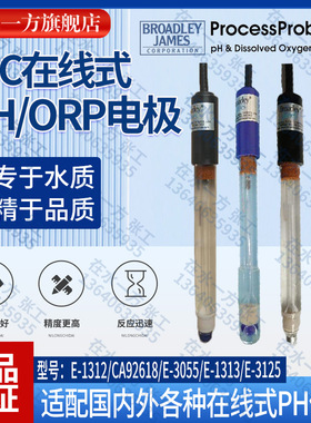 PH电极E-1312-EC1-M10ST美国BJC在线PH探头CA92618 BROADLEY-JAME
